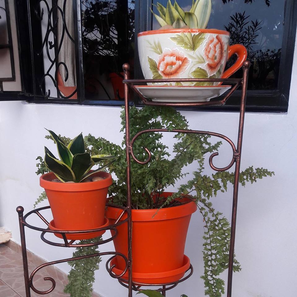 Maua and More Kensington Shopping Boulevard, Kensington Luxury Heights Kyanja, Kampala, Uganda, Gardeners, Gardens, Kampala Uganda Gardening and Landscaping, Home Decor, Interior & Exterior Design, Herbs, Flowers, Flower Pots Kampala Uganda, Ugabox